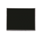 Apple iPad 2 LCD Display